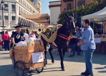 Las costumbres de antaño llenan la Plaza de España de público en el XVI Mercado Tradicional
