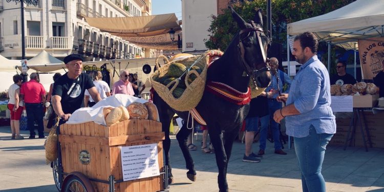 Las costumbres de antaño llenan la Plaza de España de público en el XVI Mercado Tradicional