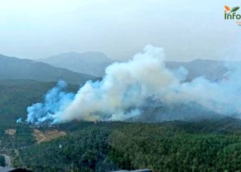 Un incendio en Riópar de nivel 2 obligar a desalojar cortijos, urbanizaciones y una pedanía