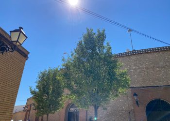 El calor regresa a Tomelloso, donde se espera que brille el sol con temperaturas superiores a 30 grados