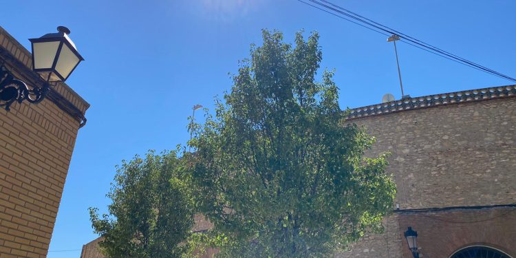 El calor regresa a Tomelloso, donde se espera que brille el sol con temperaturas superiores a 30 grados