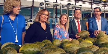 Martínez Arroyo visita la Cooperativa Santiago Apóstol y valora la campaña del melón como «muy positiva»