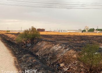 Extinguido un incendio en el acceso a Tomelloso por la carretera de la Alavesa