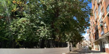 Último domingo de septiembre con descenso de temperaturas, que se moverán entre 10 y 24 grados en Tomelloso
