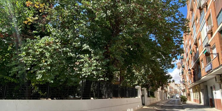 Último domingo de septiembre con descenso de temperaturas, que se moverán entre 10 y 24 grados en Tomelloso