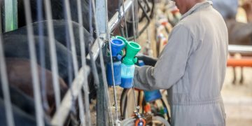 Sube el paro en agosto en Castilla-La Mancha en 1.394 personas, acumulando 142.495 desempleados