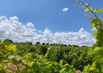 Últimos coletazos de la DANA Alice: lunes de posibles chubascos moderados aunque con temperaturas suaves de hasta 24 grados en Tomelloso