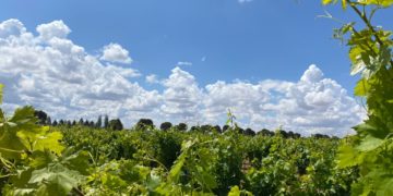 Últimos coletazos de la DANA Alice: lunes de posibles chubascos moderados aunque con temperaturas suaves de hasta 24 grados en Tomelloso