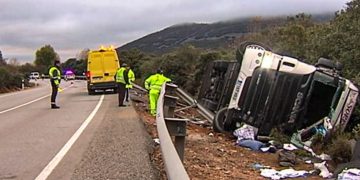 Buscan por Ciudad Real a 6 vacas bravas que sobrevivieron al vuelco de un camión en la N-430