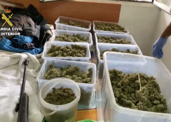 VÍDEO: Desarticulados tres invernaderos y dos puntos de venta de marihuana entre Tomelloso y Pedro Muñoz
