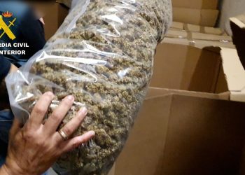 VÍDEO: Guardia Civil incauta el mayor alijo de marihuana encontrado hasta ahora entre Ciudad Real y Toledo