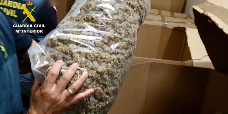 VÍDEO: Guardia Civil incauta el mayor alijo de marihuana encontrado hasta ahora entre Ciudad Real y Toledo