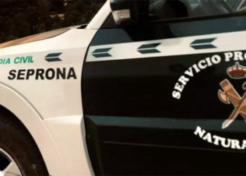 Investigan al propietario de una ganadería de Ciudad Real al encontrar 26 terneros muertos y animales desnutridos