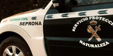 Investigan al propietario de una ganadería de Ciudad Real al encontrar 26 terneros muertos y animales desnutridos