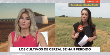 El video de las noticias de Antena 3 sobre los cultivos de cereal de Tomelloso perdidos por la sequía