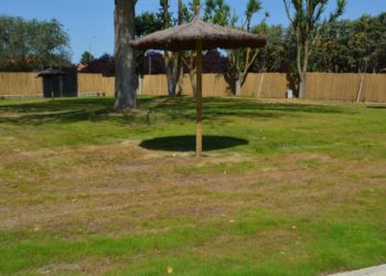La piscina de verano de Tomelloso retrasa su apertura debido al «deplorable» estado del césped causado por un hongo