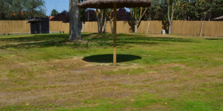 La piscina de verano de Tomelloso retrasa su apertura debido al «deplorable» estado del césped causado por un hongo
