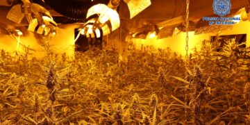 Graban una plantación de dos toneladas de marihuana que se ocultaba bajo tierra en una nave de Toledo