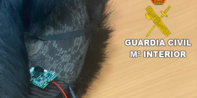 Denunciado por usar pinganillos debajo de una peluca para copiar en exámenes de conducir de Castilla-La Mancha