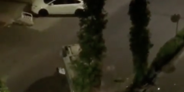 Graban la peculiar reacción de un conductor que «hace la croqueta» tras volcar con su vehículo en Talavera de la Reina
