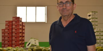 José Ángel Serrano: «Los melones recolectados los primeros días no serán los mejores pero se verán recompensados con los precios»