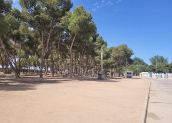 Dos jóvenes de 20 y 18 años resultan heridos tras agredirse con arma blanca en «los pinos» de Tomelloso