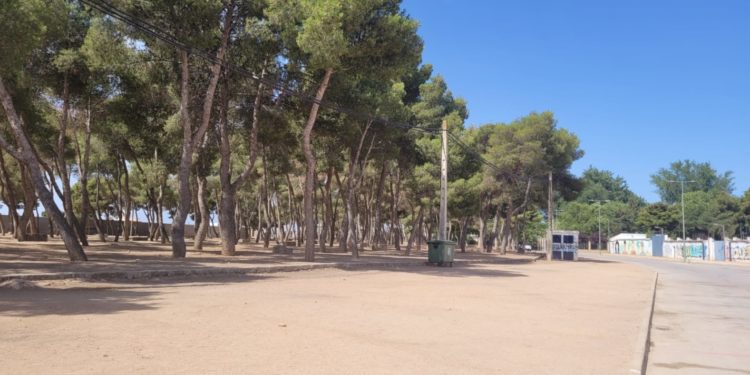 Dos jóvenes de 20 y 18 años resultan heridos tras agredirse con arma blanca en «los pinos» de Tomelloso