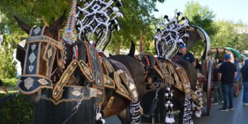 El tradicional Desfile de reatas, carros y mulas sigue brillando con luz propia en la Feria y Fiestas de Tomelloso 2023
