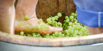 La Fiesta de la Vendimia Tradicional se traslada del Paseo de las Moreras a Bodegas Perales ante la previsión de lluvias