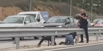 Graban cómo rescatan a un gato que había sido lanzado por la ventanilla de un vehículo en la autovía A-42 de Toledo