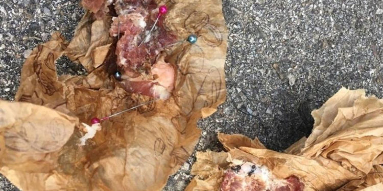Alerta en Toledo por la presencia de alimentos para mascotas con alfileres en un parque de la ciudad