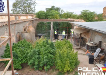 Detenido en Valdepeñas un hombre por posesión de 10 kilos de cogollos de marihuana y tenencia ilícita de armas