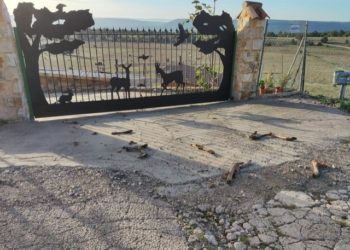 Arrojan una veintena de patas de ciervo en la entrada de dos inmuebles de la alcaldesa de un municipio de Cuenca