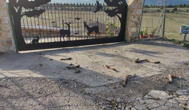 Arrojan una veintena de patas de ciervo en la entrada de dos inmuebles de la alcaldesa de un municipio de Cuenca
