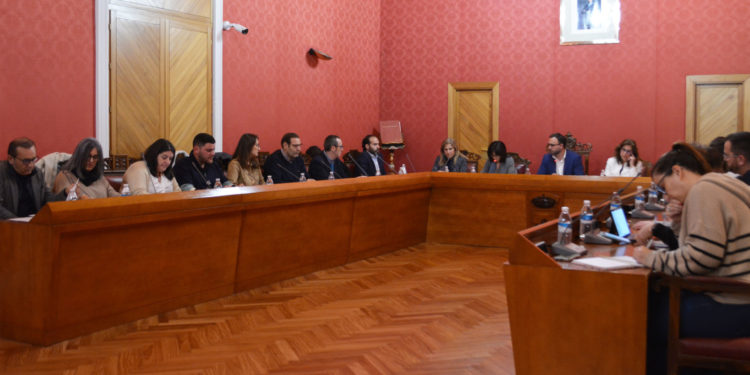 El primer pleno municipal del 2024 aprueba una moción para que se respete la ubicación inicial de la subestación eléctrica en Tomelloso