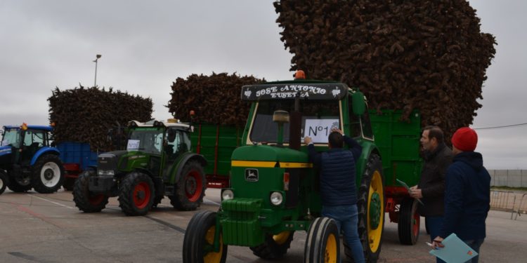 Amigos de las Tradiciones, Félix Ortiz y Juan Pedro Díaz, ganadores del «Concurso de remolque con colmo de cepas» de San Antón en Tomelloso