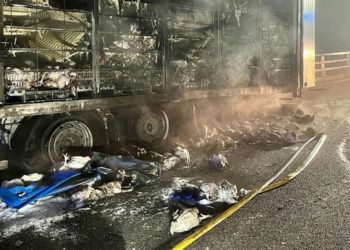 El incendio de un camión provoca la muerte de decenas de gallinas en la autovía A-4 a su paso por la provincia de Toledo