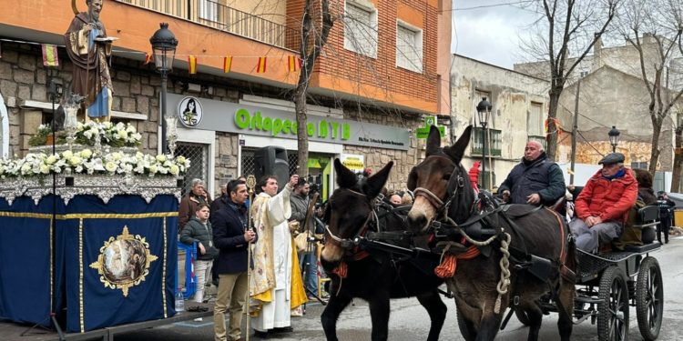 Concluye la celebración de San Antón en Tomelloso con una gran procesión y mucha participación en la bendición de animales