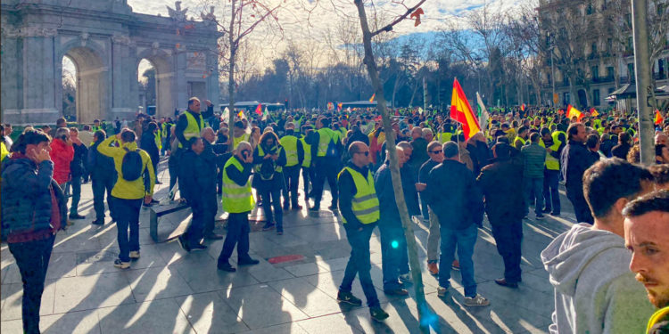 Quinientos agricultores de Tomelloso se dirigen a Madrid para participar en la gran protesta por el campo frente al Ministerio de Agricultura