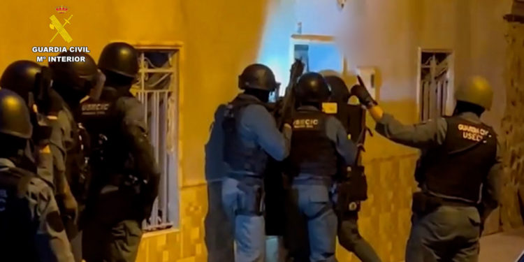 El vídeo de la detención en Albacete de 12 personas de una organización criminal especializada en robos con violencia y venta de drogas