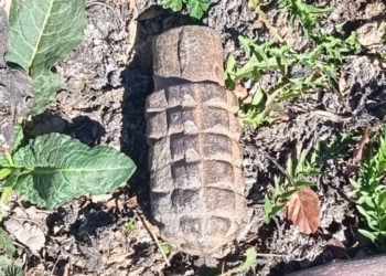 Encuentran una granada de mano de la Guerra Civil en perfecto estado de conservación en un paraje de Castilla-La Mancha