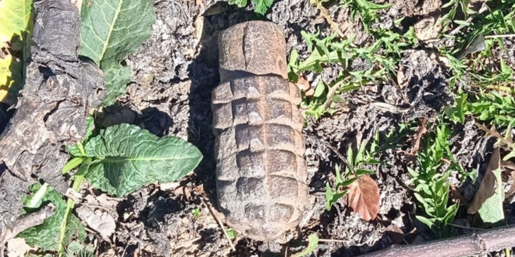 Encuentran una granada de mano de la Guerra Civil en perfecto estado de conservación en un paraje de Castilla-La Mancha