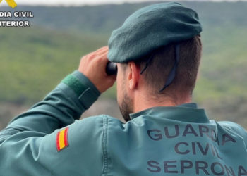 Investigan a un hombre por disparar con una carabina de aire comprimido a los gatos de su vecina en Puebla del Príncipe