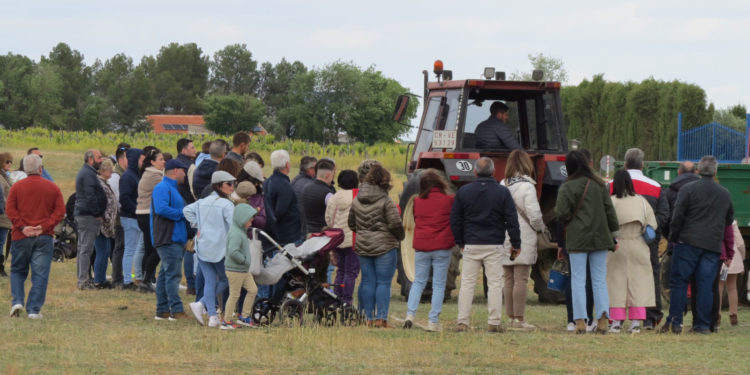 Numerosos tomelloseros se dan cita para contemplar las maniobras del Concurso de Habilidad con Tractor de la Romería 2024