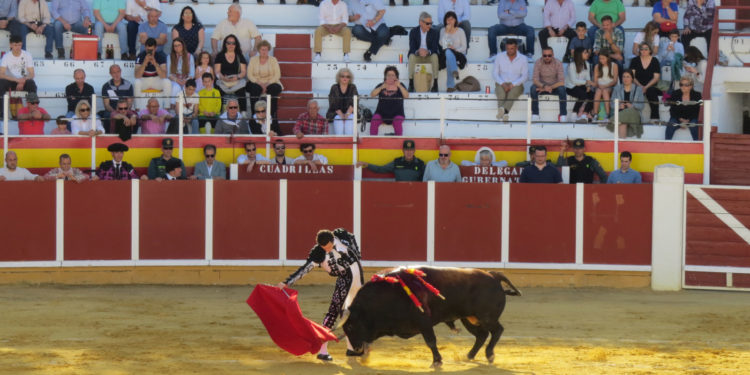 Tomelloso celebra una espléndida tarde de toros con una corrida benéfica a favor de la Asociación TEAcompaño CLM