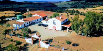 Una importante finca de Valdepeñas ofrece casa gratis y contrato indefinido a una pareja o matrimonio que quiera trabajar en ella