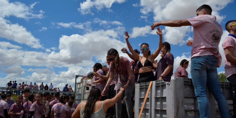 Las reatas de mulas, carrozas de verde y artísticas deslumbran durante la mañana del Domingo de Romería