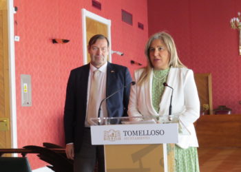 El Ayuntamiento pedirá en pleno extraordinario al gobierno de España que respete la ubicación original de la subestación eléctrica de Tomelloso