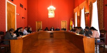 El pleno del Ayuntamiento de Tomelloso aprueba la Agenda Urbana y una zona verde junto al Parque Urbano Martínez