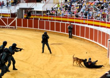 Impresionante exhibición de medios de la Guardia Civil en la Plaza de Toros de Tomelloso